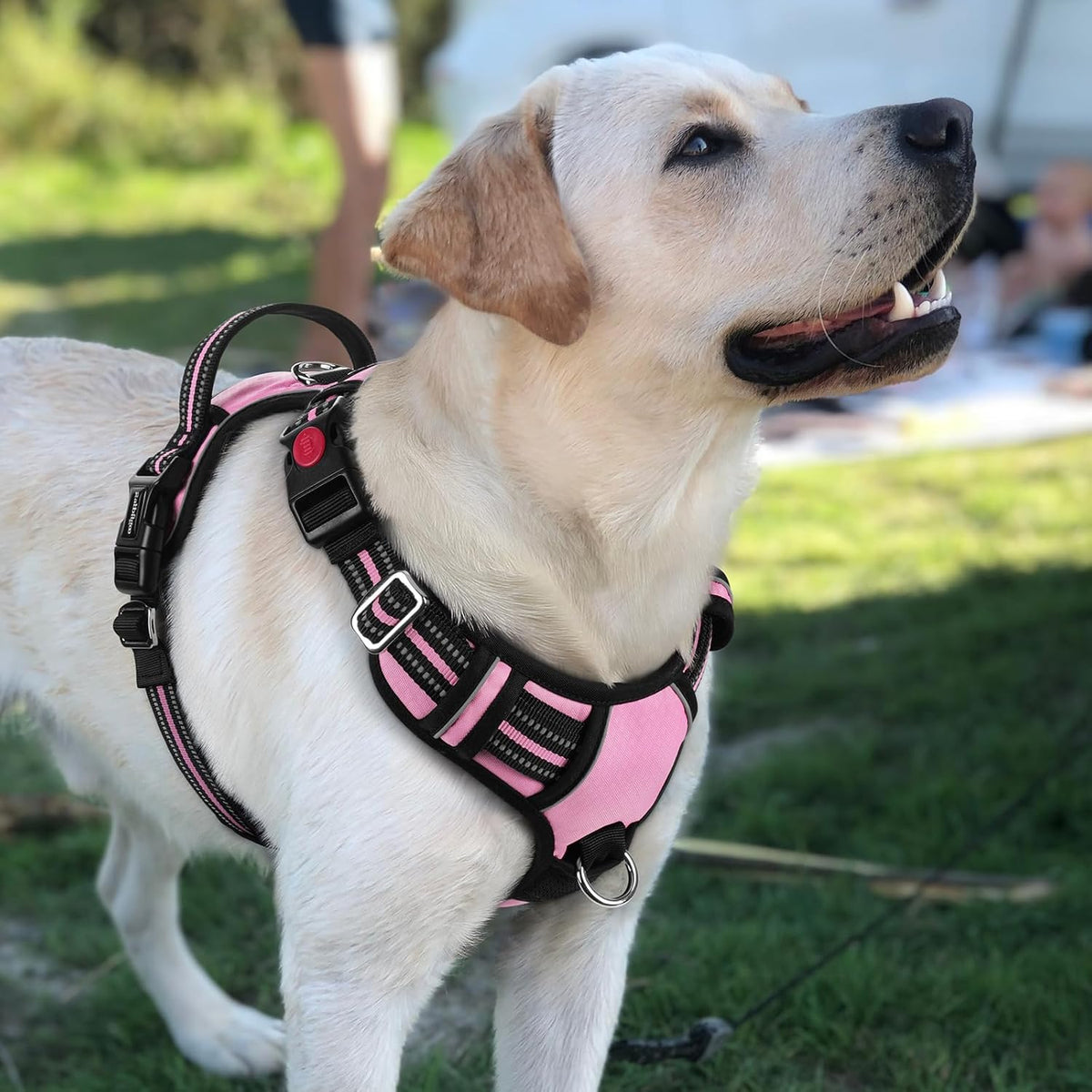 Dog Harness for Large, No Pull 3 Buckles Easy On & Off | Soft Padded, Walking with Control Handle, Adjustable and Reflective, Pink, Large