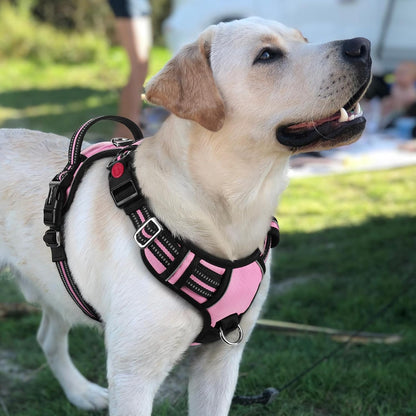 Dog Harness for Large, No Pull 3 Buckles Easy On & Off | Soft Padded, Walking with Control Handle, Adjustable and Reflective, Pink, Large