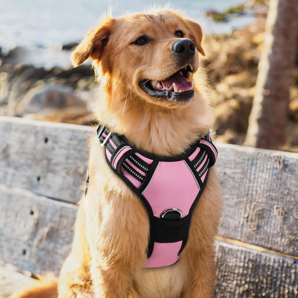 Dog Harness for Large, No Pull 3 Buckles Easy On & Off | Soft Padded, Walking with Control Handle, Adjustable and Reflective, Pink, Large