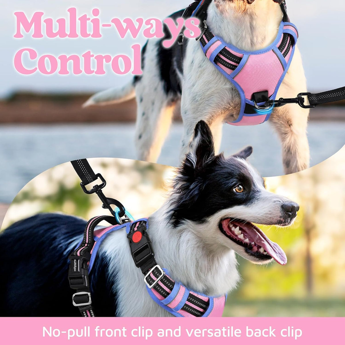 Dog Harness for Large, No Pull 3 Buckles Easy On & Off | Soft Padded, Walking with Control Handle, Adjustable and Reflective, Pink, Large