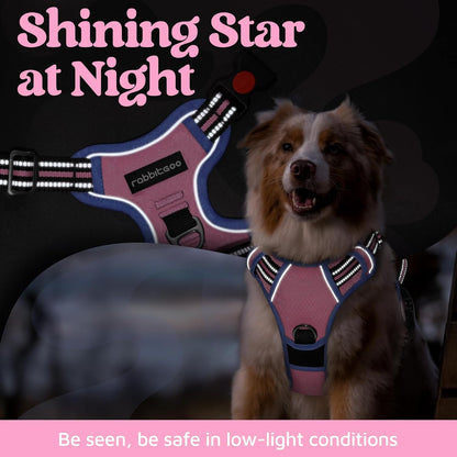 Dog Harness for Large, No Pull 3 Buckles Easy On & Off | Soft Padded, Walking with Control Handle, Adjustable and Reflective, Pink, Large