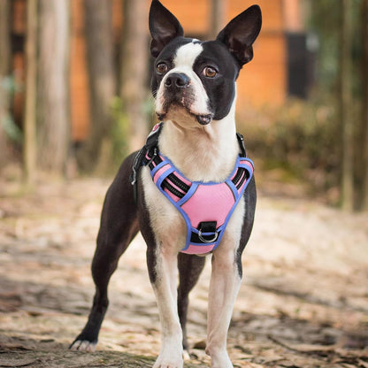 Dog Harness for Large, No Pull 3 Buckles Easy On & Off | Soft Padded, Walking with Control Handle, Adjustable and Reflective, Pink, Large