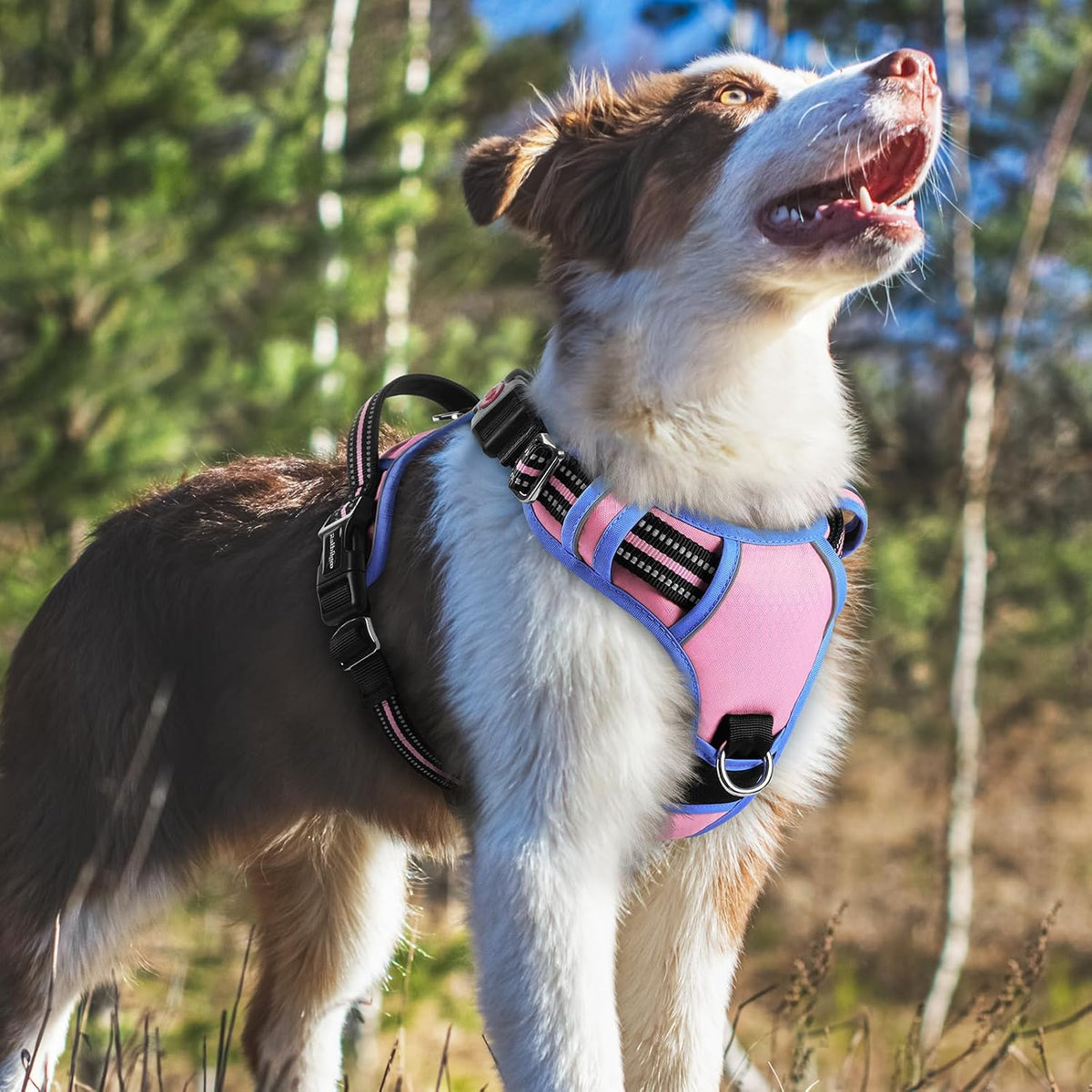 Dog Harness for Large, No Pull 3 Buckles Easy On & Off | Soft Padded, Walking with Control Handle, Adjustable and Reflective, Pink, Large