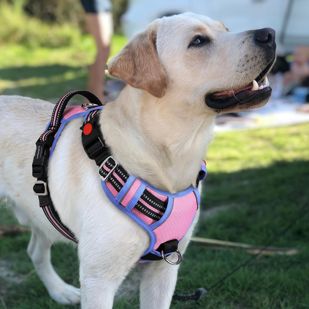 Dog Harness for Large, No Pull 3 Buckles Easy On & Off | Soft Padded, Walking with Control Handle, Adjustable and Reflective, Pink, Large