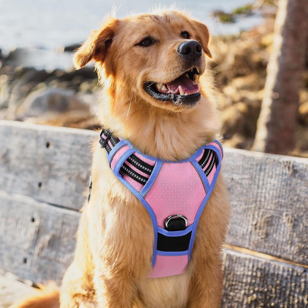 Dog Harness for Large, No Pull 3 Buckles Easy On & Off | Soft Padded, Walking with Control Handle, Adjustable and Reflective, Pink, Large