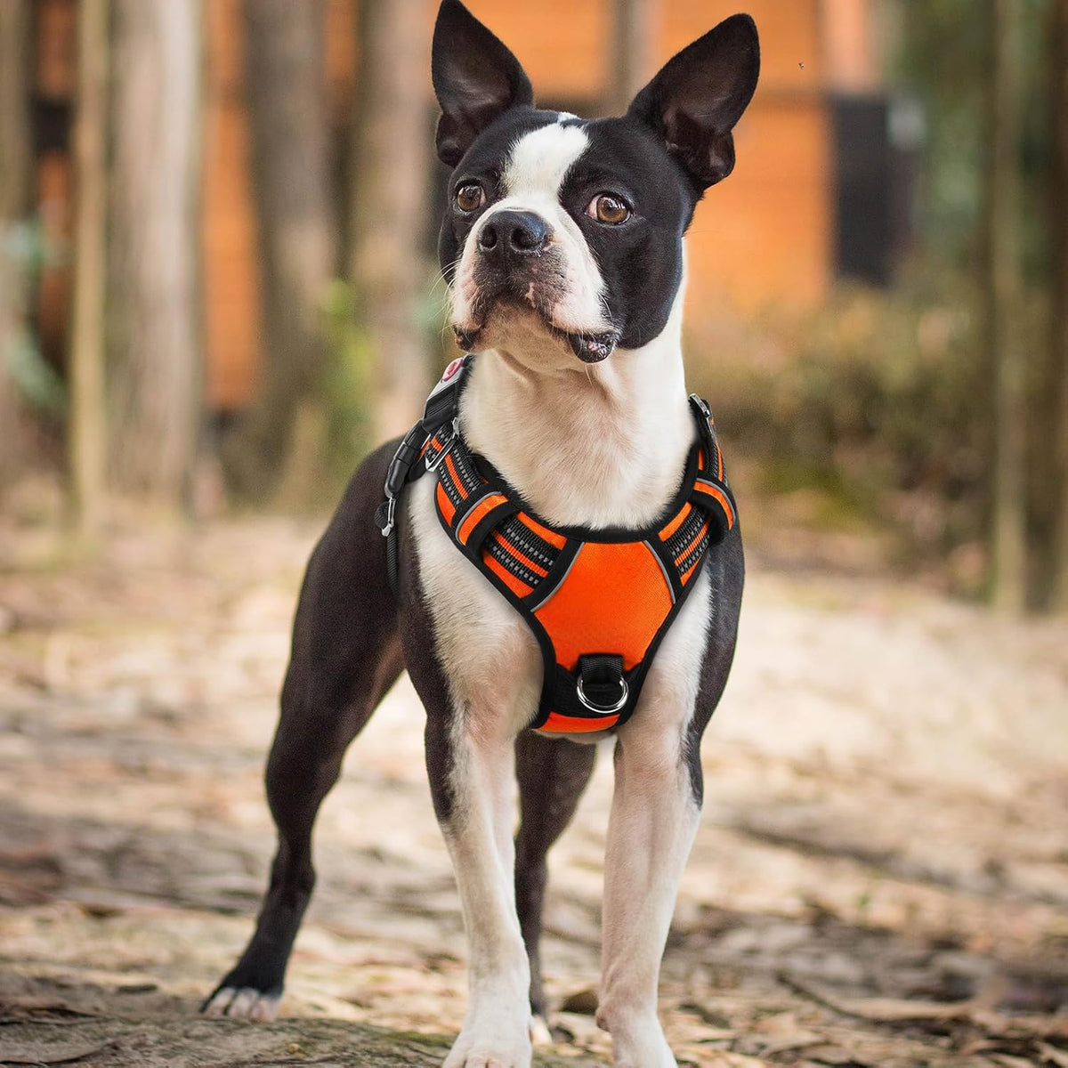 Dog Harness for Large, No Pull 3 Buckles Easy On & Off | Soft Padded, Walking with Control Handle, Adjustable and Reflective, Pink, Large
