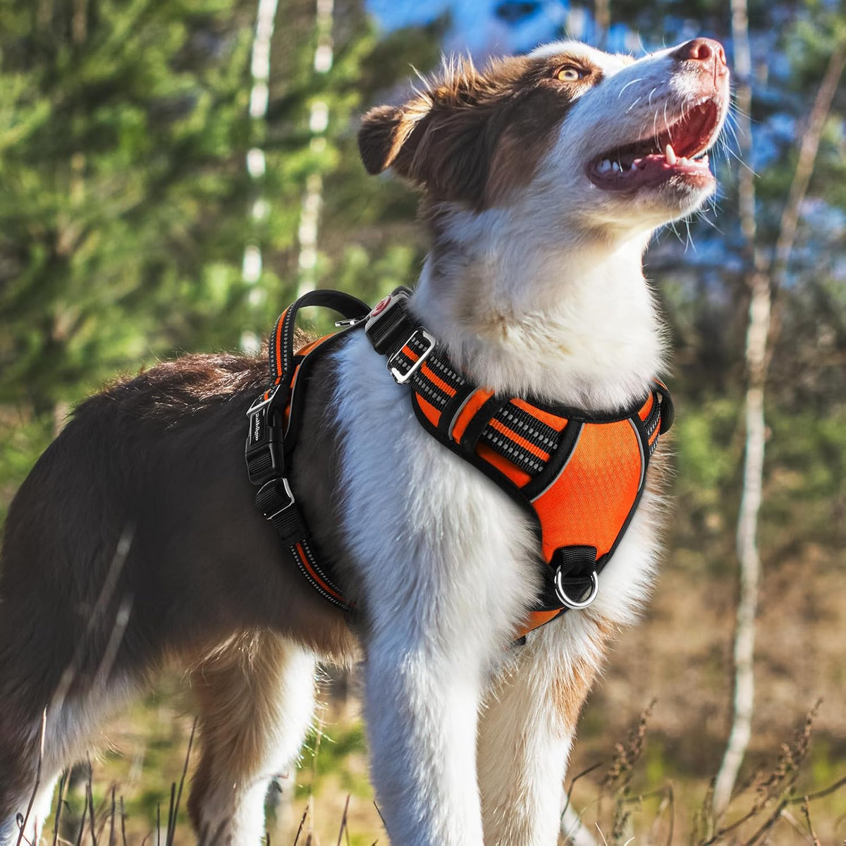 Dog Harness for Large, No Pull 3 Buckles Easy On & Off | Soft Padded, Walking with Control Handle, Adjustable and Reflective, Pink, Large