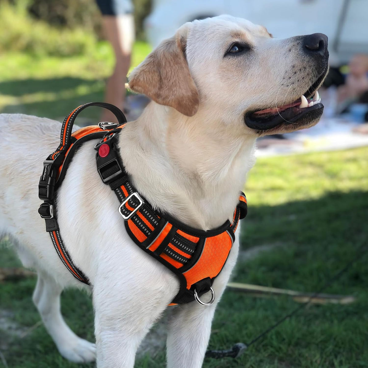 Dog Harness for Large, No Pull 3 Buckles Easy On & Off | Soft Padded, Walking with Control Handle, Adjustable and Reflective, Pink, Large