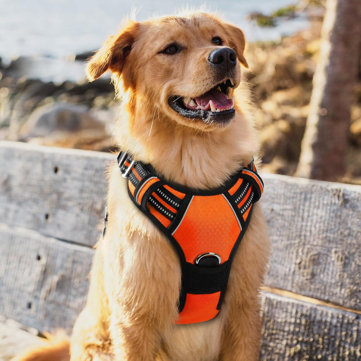 Dog Harness for Large, No Pull 3 Buckles Easy On & Off | Soft Padded, Walking with Control Handle, Adjustable and Reflective, Pink, Large