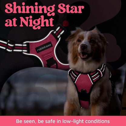 Dog Harness for Large, No Pull 3 Buckles Easy On & Off | Soft Padded, Walking with Control Handle, Adjustable and Reflective, Pink, Large