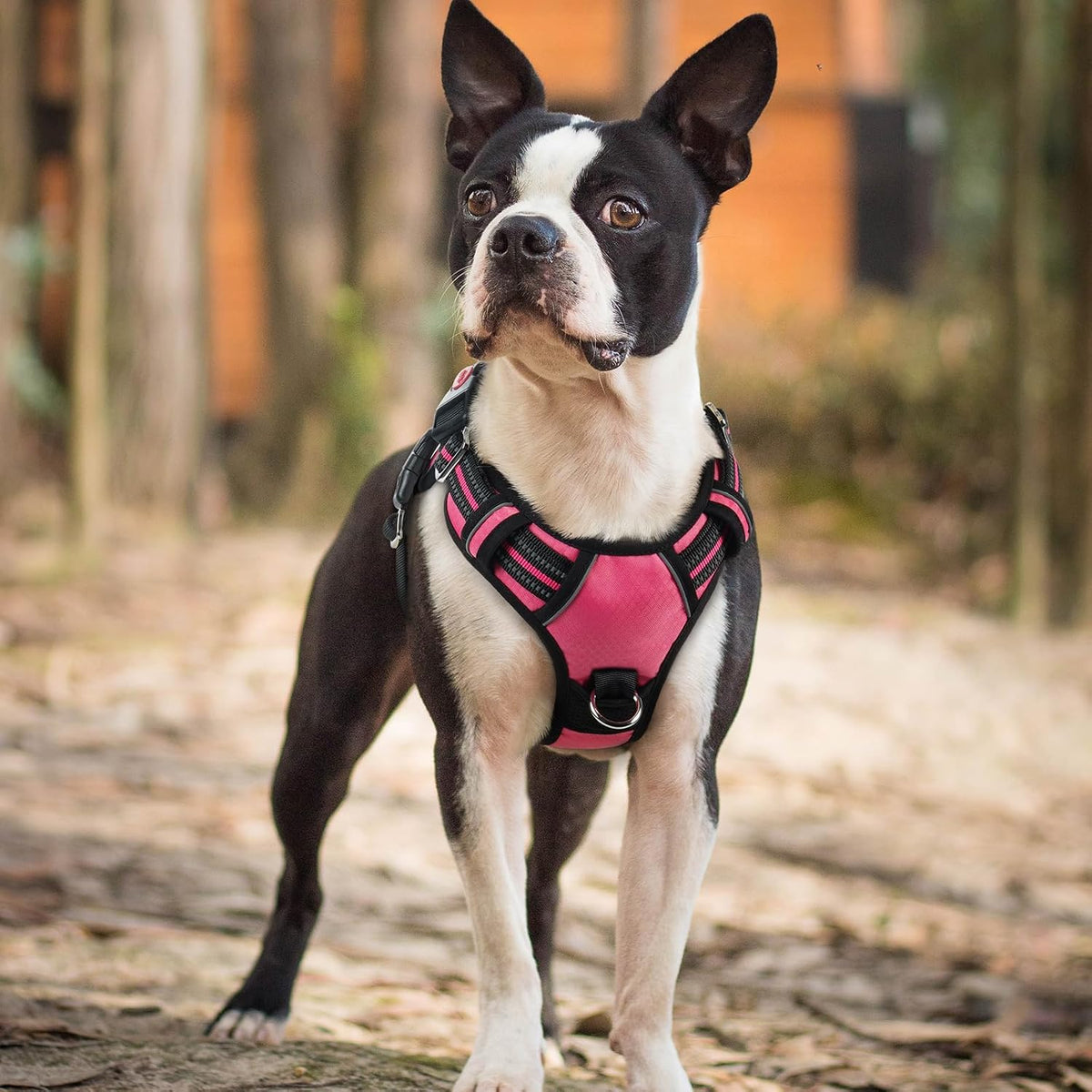 Dog Harness for Large, No Pull 3 Buckles Easy On & Off | Soft Padded, Walking with Control Handle, Adjustable and Reflective, Pink, Large
