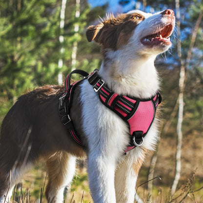 Dog Harness for Large, No Pull 3 Buckles Easy On & Off | Soft Padded, Walking with Control Handle, Adjustable and Reflective, Pink, Large