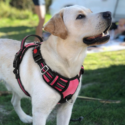 Dog Harness for Large, No Pull 3 Buckles Easy On & Off | Soft Padded, Walking with Control Handle, Adjustable and Reflective, Pink, Large