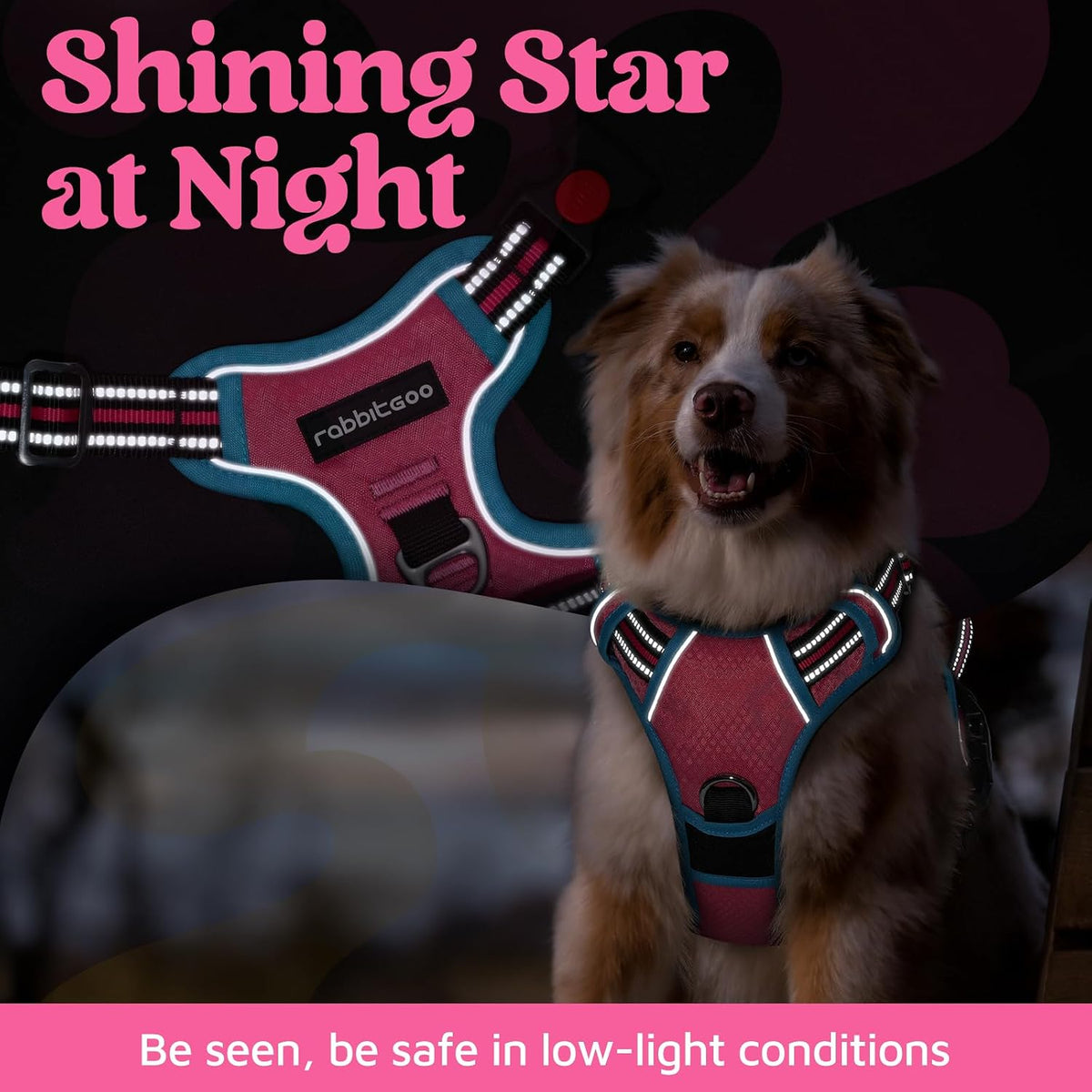 Dog Harness for Large, No Pull 3 Buckles Easy On & Off | Soft Padded, Walking with Control Handle, Adjustable and Reflective, Pink, Large