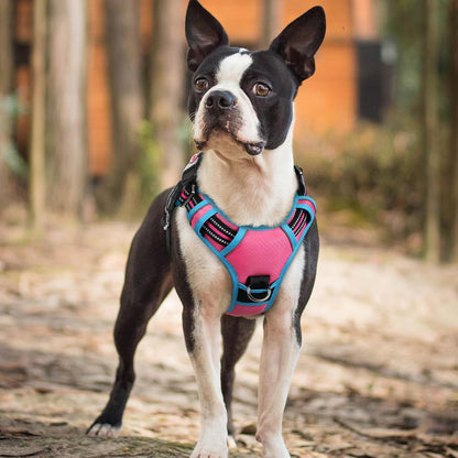 Dog Harness for Large, No Pull 3 Buckles Easy On & Off | Soft Padded, Walking with Control Handle, Adjustable and Reflective, Pink, Large