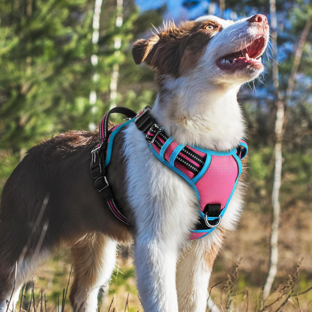 Dog Harness for Large, No Pull 3 Buckles Easy On & Off | Soft Padded, Walking with Control Handle, Adjustable and Reflective, Pink, Large