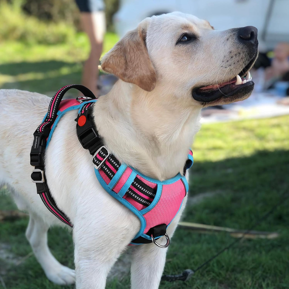 Dog Harness for Large, No Pull 3 Buckles Easy On & Off | Soft Padded, Walking with Control Handle, Adjustable and Reflective, Pink, Large