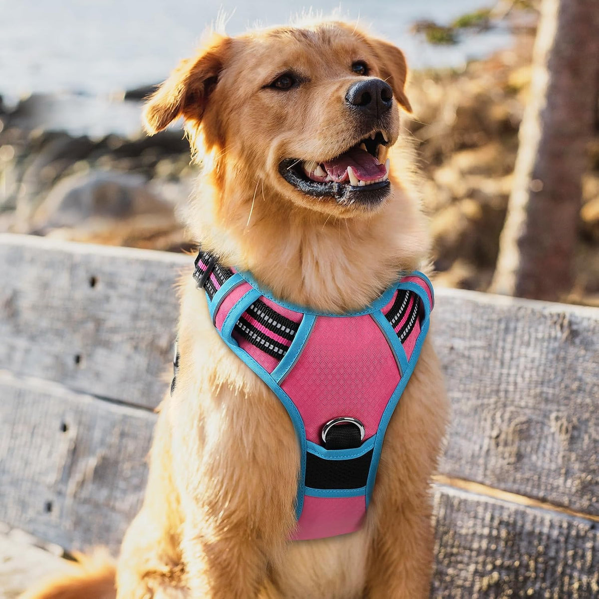 Dog Harness for Large, No Pull 3 Buckles Easy On & Off | Soft Padded, Walking with Control Handle, Adjustable and Reflective, Pink, Large