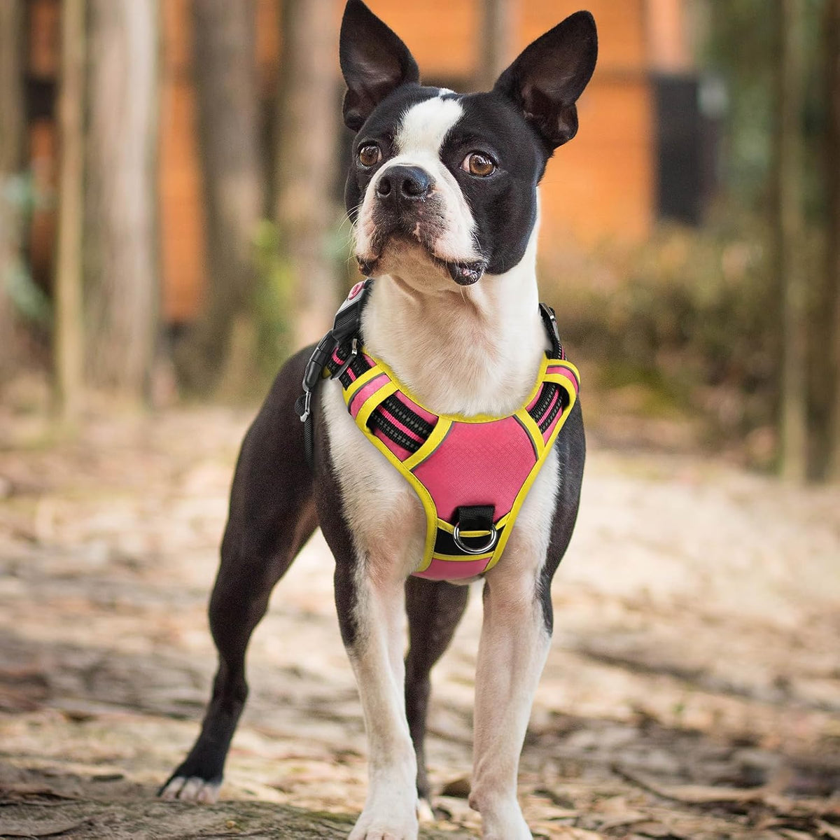 Dog Harness for Large, No Pull 3 Buckles Easy On & Off | Soft Padded, Walking with Control Handle, Adjustable and Reflective, Pink, Large