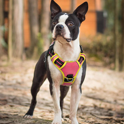 Dog Harness for Large, No Pull 3 Buckles Easy On & Off | Soft Padded, Walking with Control Handle, Adjustable and Reflective, Pink, Large