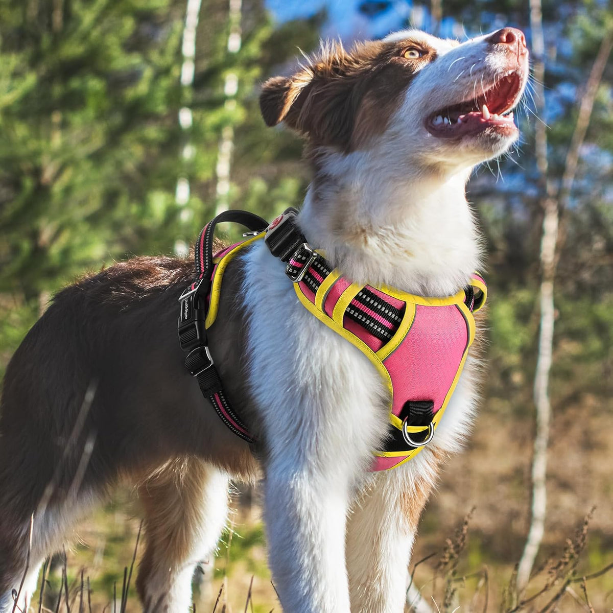 Dog Harness for Large, No Pull 3 Buckles Easy On & Off | Soft Padded, Walking with Control Handle, Adjustable and Reflective, Pink, Large