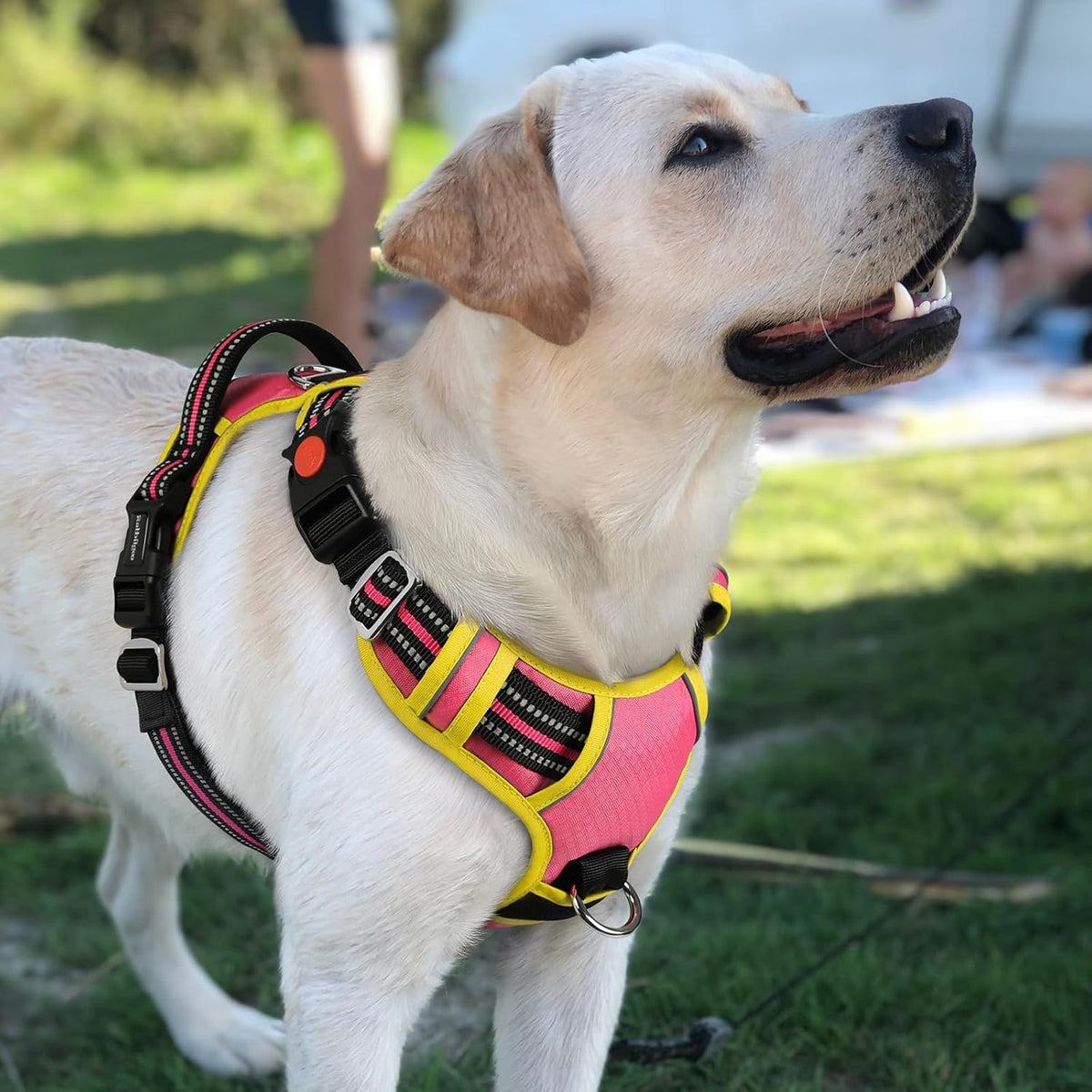 Dog Harness for Large, No Pull 3 Buckles Easy On & Off | Soft Padded, Walking with Control Handle, Adjustable and Reflective, Pink, Large
