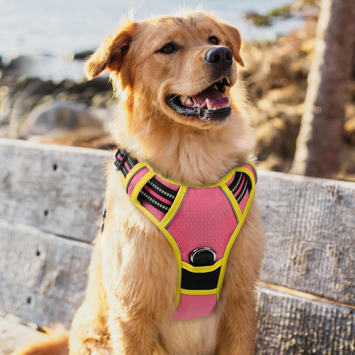 Dog Harness for Large, No Pull 3 Buckles Easy On & Off | Soft Padded, Walking with Control Handle, Adjustable and Reflective, Pink, Large