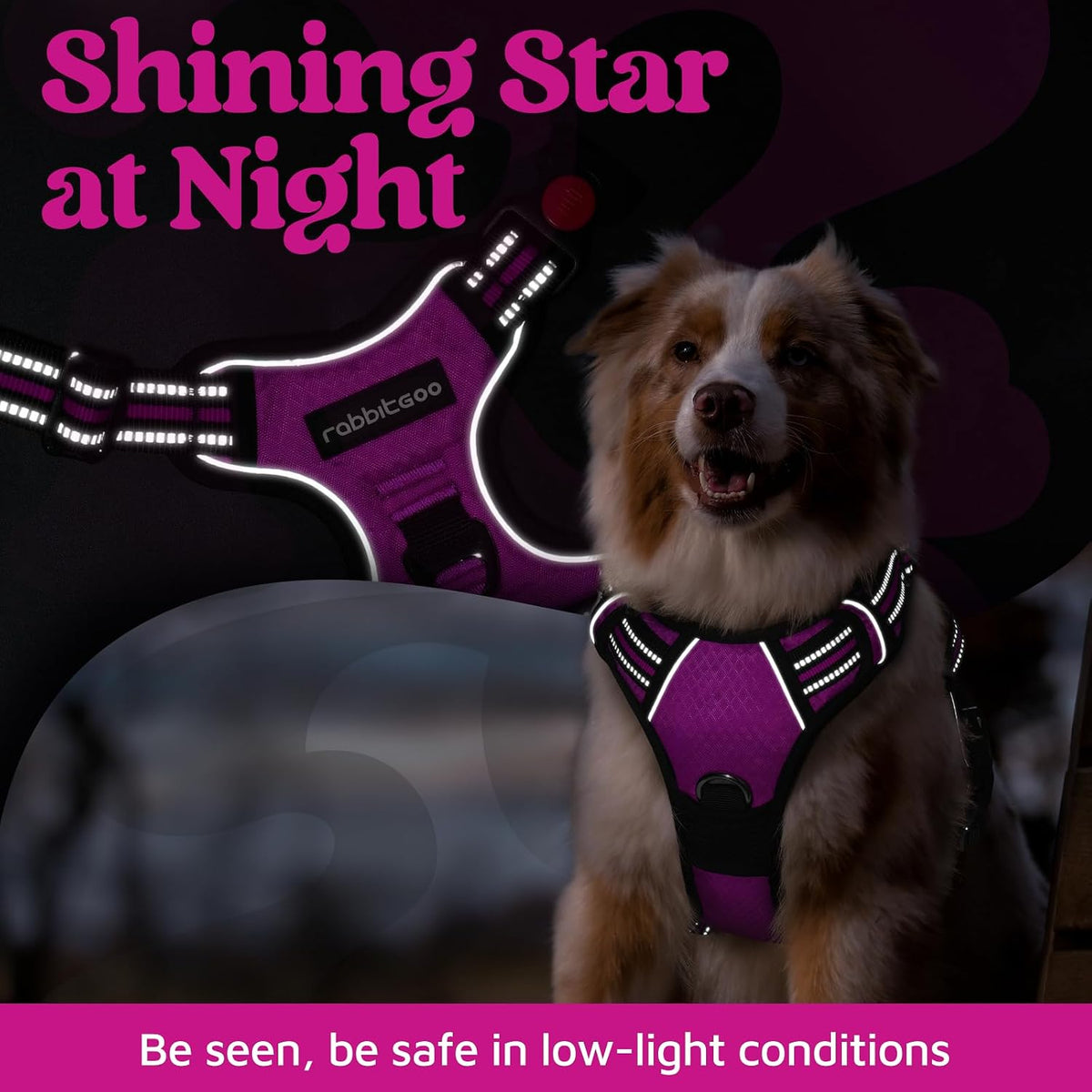 Dog Harness for Large, No Pull 3 Buckles Easy On & Off | Soft Padded, Walking with Control Handle, Adjustable and Reflective, Pink, Large