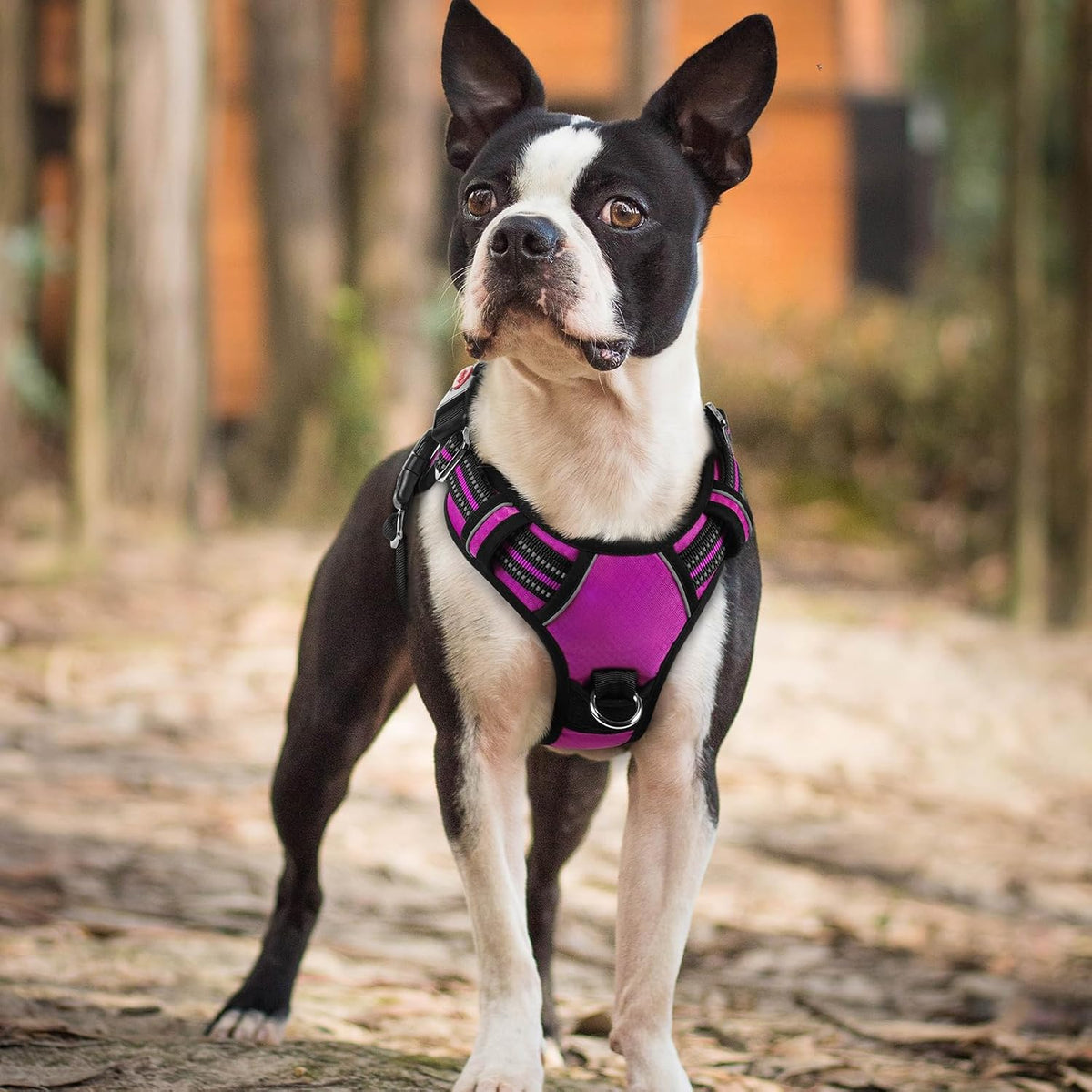 Dog Harness for Large, No Pull 3 Buckles Easy On & Off | Soft Padded, Walking with Control Handle, Adjustable and Reflective, Pink, Large