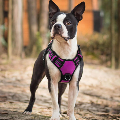 Dog Harness for Large, No Pull 3 Buckles Easy On & Off | Soft Padded, Walking with Control Handle, Adjustable and Reflective, Pink, Large