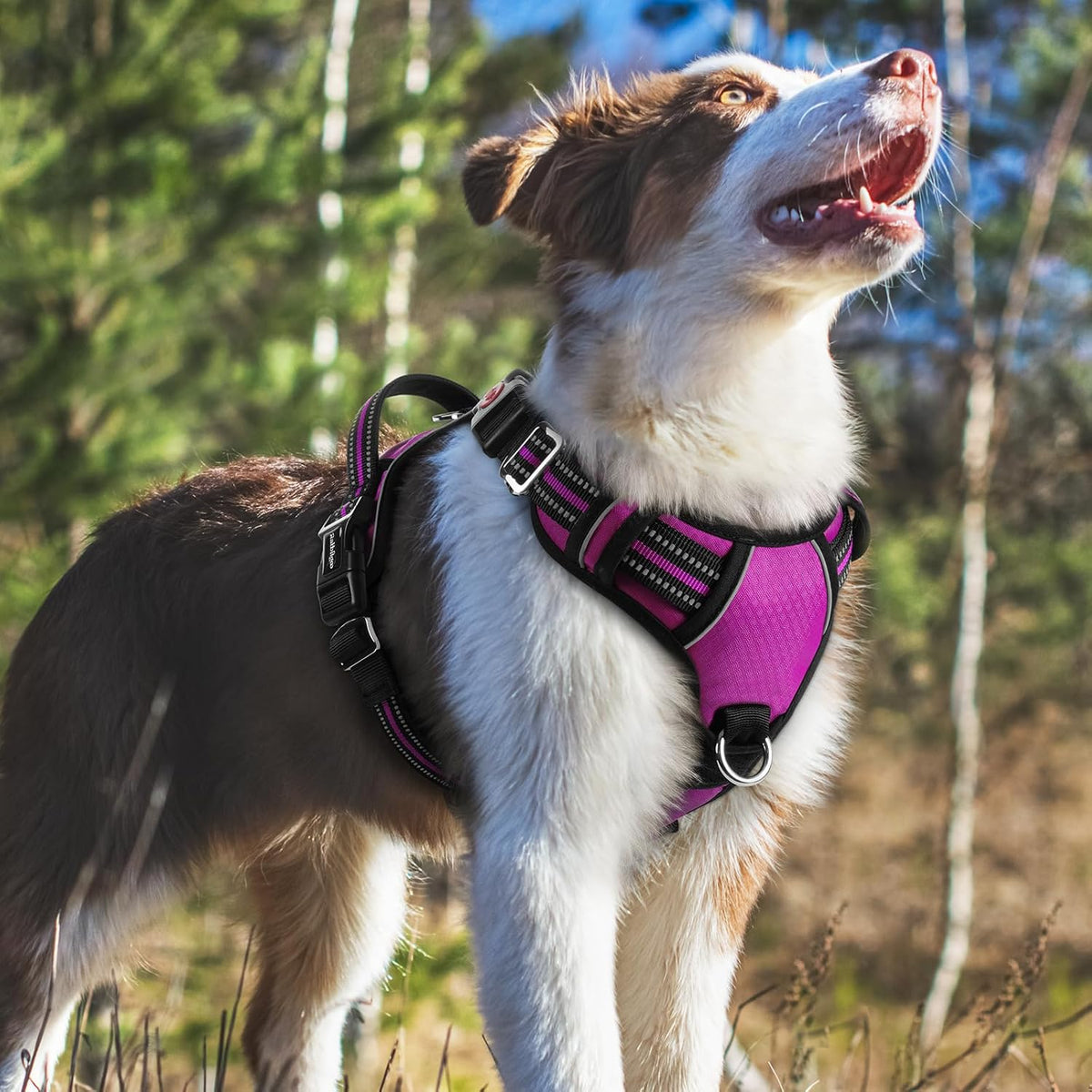 Dog Harness for Large, No Pull 3 Buckles Easy On & Off | Soft Padded, Walking with Control Handle, Adjustable and Reflective, Pink, Large