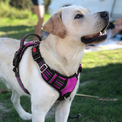 Dog Harness for Large, No Pull 3 Buckles Easy On & Off | Soft Padded, Walking with Control Handle, Adjustable and Reflective, Pink, Large