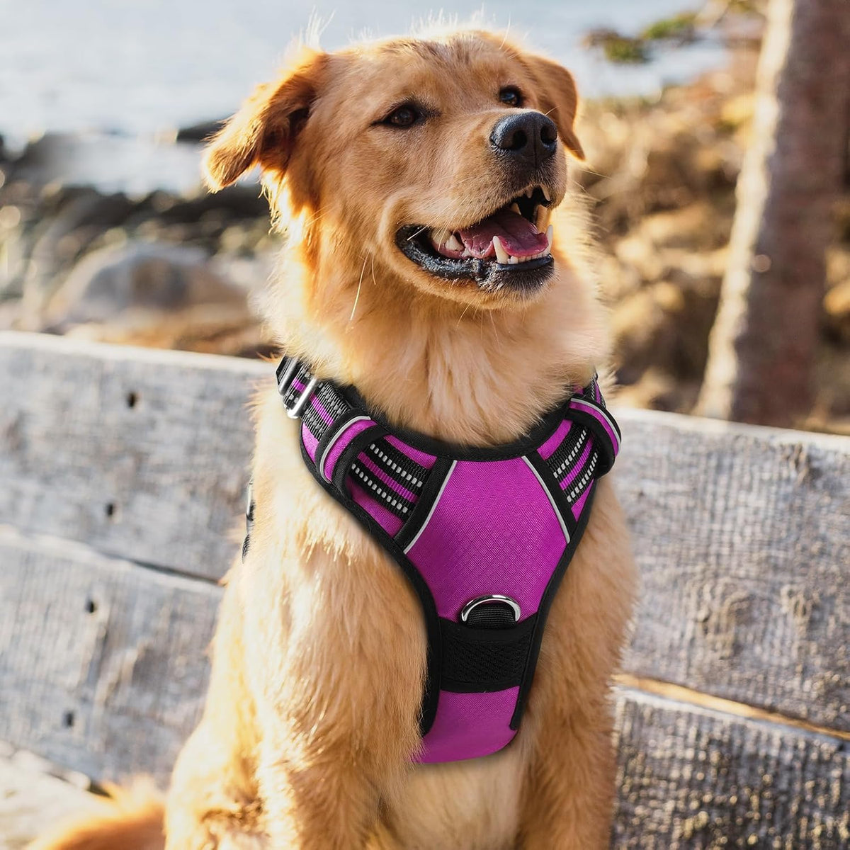 Dog Harness for Large, No Pull 3 Buckles Easy On & Off | Soft Padded, Walking with Control Handle, Adjustable and Reflective, Pink, Large