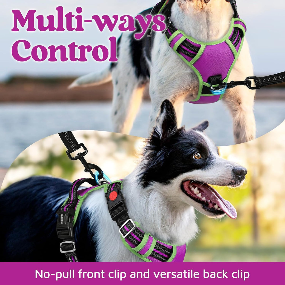 Dog Harness for Large, No Pull 3 Buckles Easy On & Off | Soft Padded, Walking with Control Handle, Adjustable and Reflective, Pink, Large