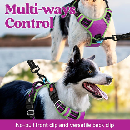Dog Harness for Large, No Pull 3 Buckles Easy On & Off | Soft Padded, Walking with Control Handle, Adjustable and Reflective, Pink, Large