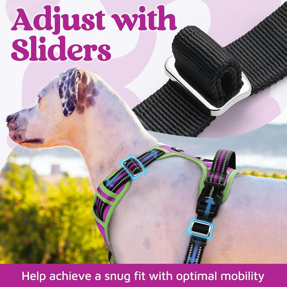 Dog Harness for Large, No Pull 3 Buckles Easy On & Off | Soft Padded, Walking with Control Handle, Adjustable and Reflective, Pink, Large
