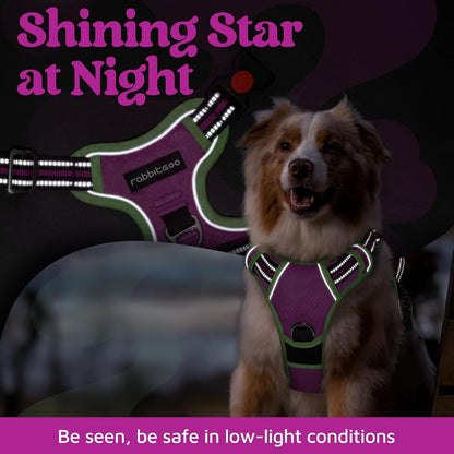 Dog Harness for Large, No Pull 3 Buckles Easy On & Off | Soft Padded, Walking with Control Handle, Adjustable and Reflective, Pink, Large