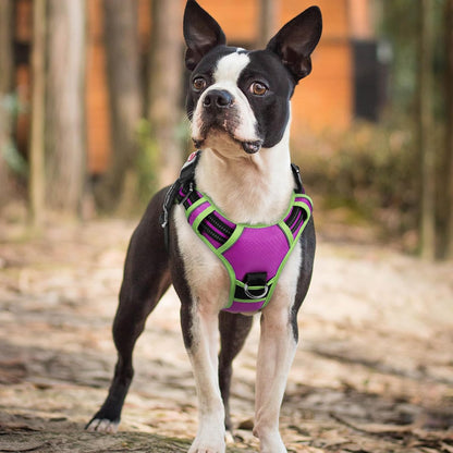 Dog Harness for Large, No Pull 3 Buckles Easy On & Off | Soft Padded, Walking with Control Handle, Adjustable and Reflective, Pink, Large