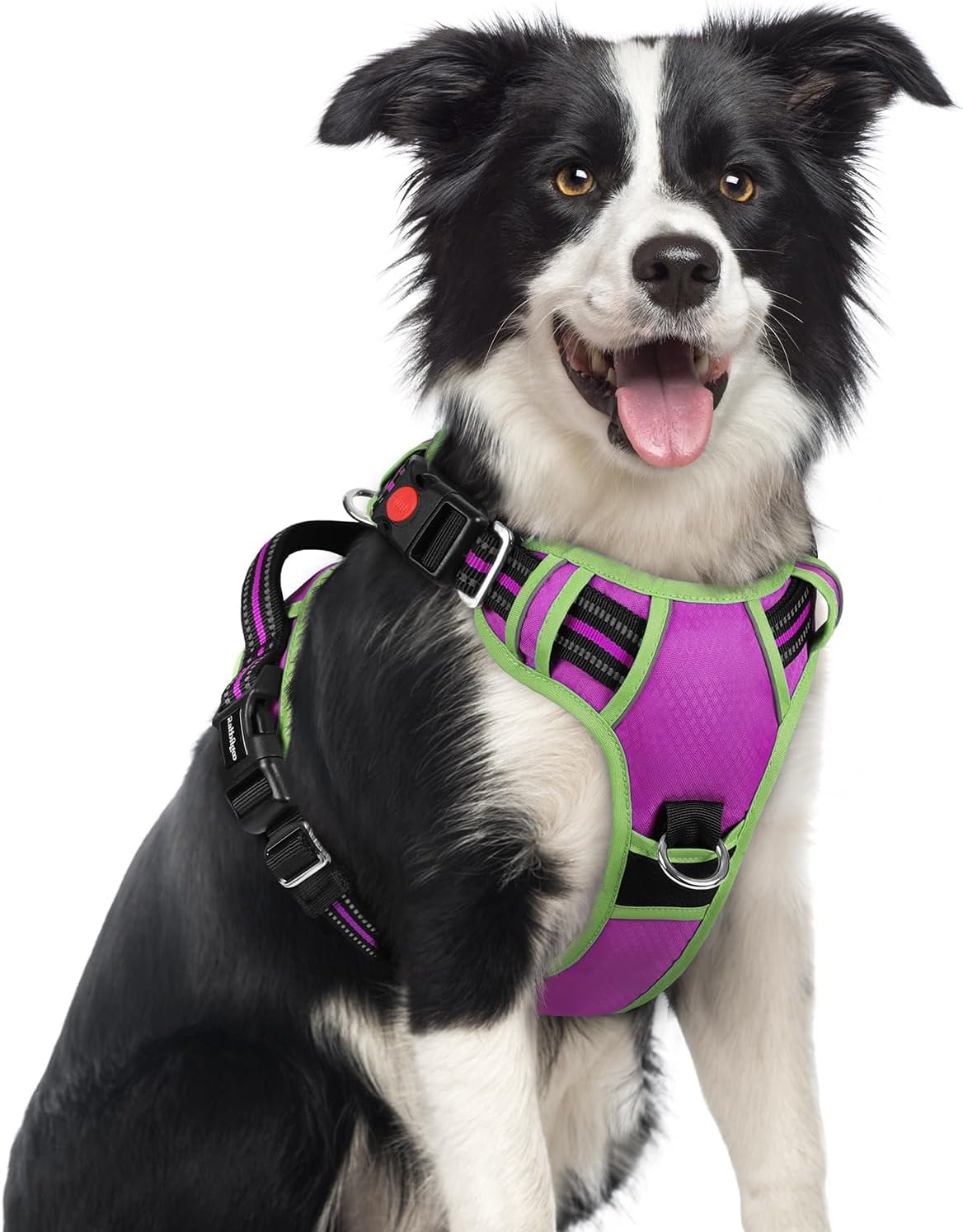 Dog Harness for Large, No Pull 3 Buckles Easy On & Off | Soft Padded, Walking with Control Handle, Adjustable and Reflective, Pink, Large