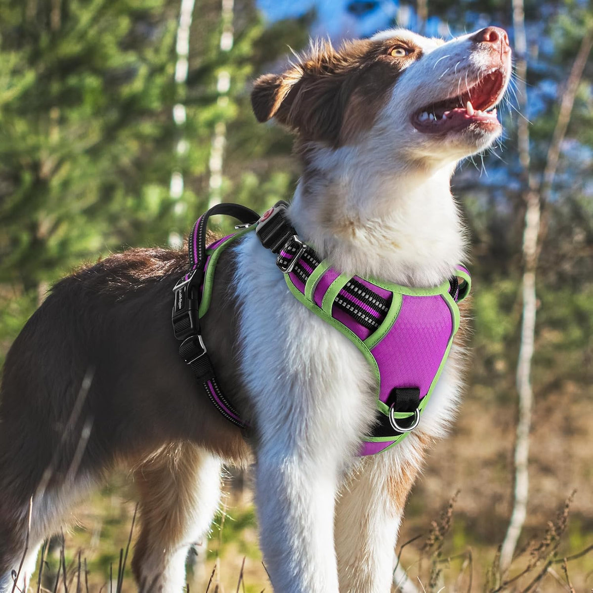Dog Harness for Large, No Pull 3 Buckles Easy On & Off | Soft Padded, Walking with Control Handle, Adjustable and Reflective, Pink, Large