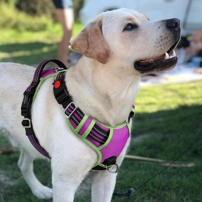 Dog Harness for Large, No Pull 3 Buckles Easy On & Off | Soft Padded, Walking with Control Handle, Adjustable and Reflective, Pink, Large