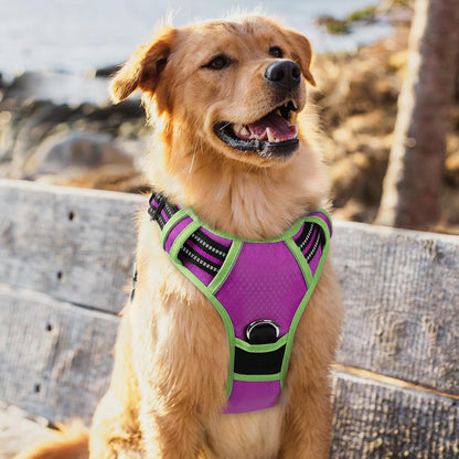 Dog Harness for Large, No Pull 3 Buckles Easy On & Off | Soft Padded, Walking with Control Handle, Adjustable and Reflective, Pink, Large