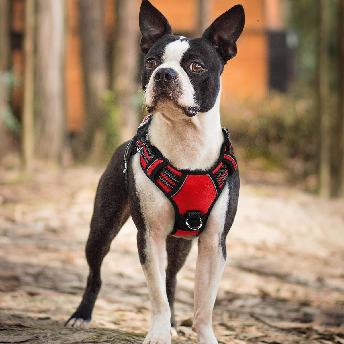 Dog Harness for Large, No Pull 3 Buckles Easy On & Off | Soft Padded, Walking with Control Handle, Adjustable and Reflective, Pink, Large
