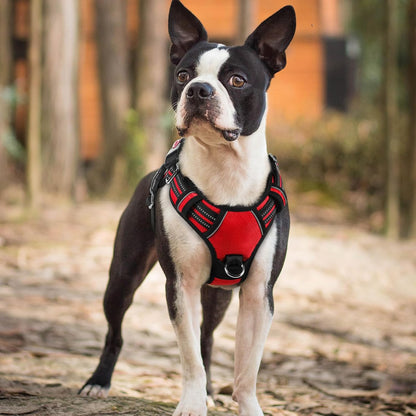Dog Harness for Large, No Pull 3 Buckles Easy On & Off | Soft Padded, Walking with Control Handle, Adjustable and Reflective, Pink, Large