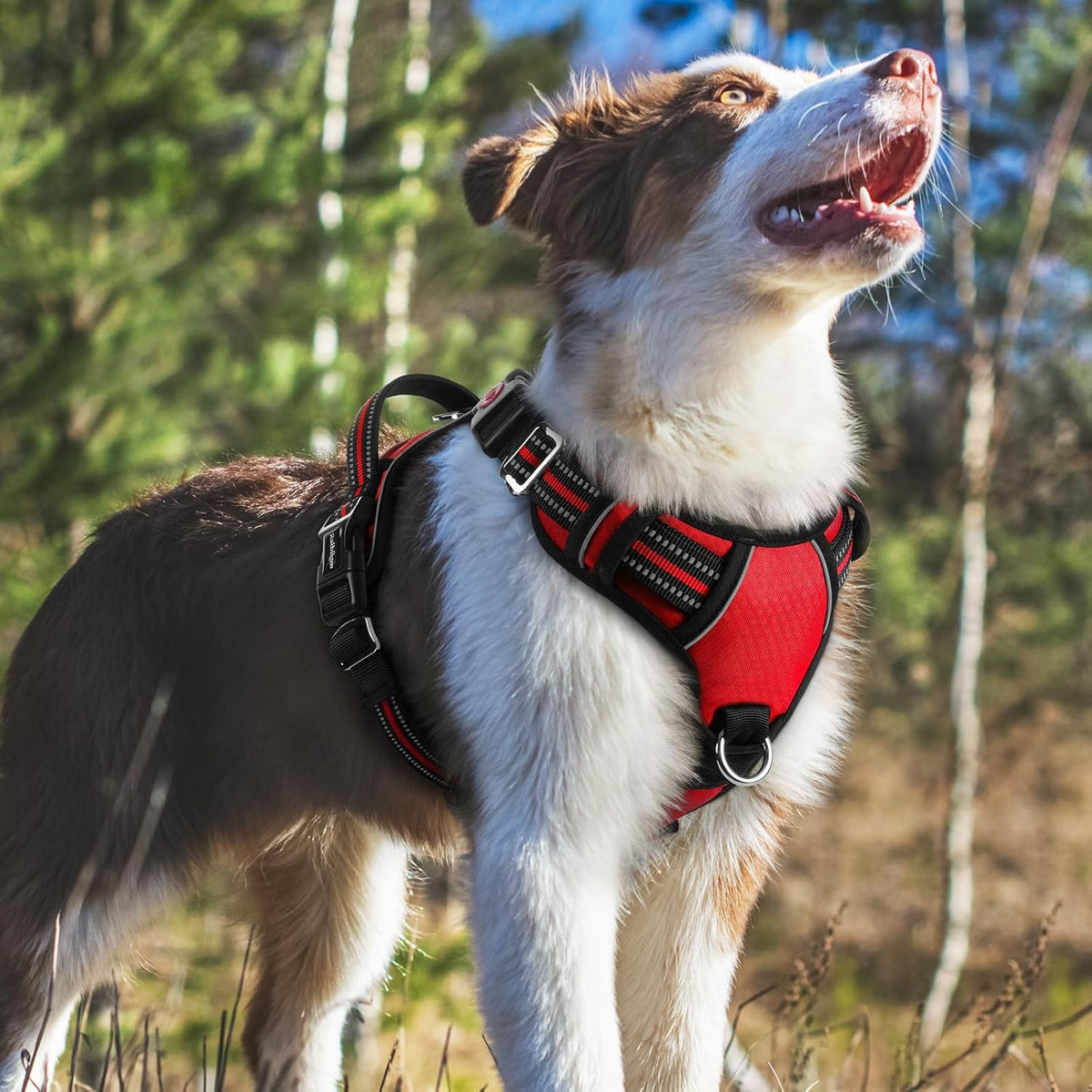Dog Harness for Large, No Pull 3 Buckles Easy On & Off | Soft Padded, Walking with Control Handle, Adjustable and Reflective, Pink, Large