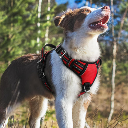 Dog Harness for Large, No Pull 3 Buckles Easy On & Off | Soft Padded, Walking with Control Handle, Adjustable and Reflective, Pink, Large