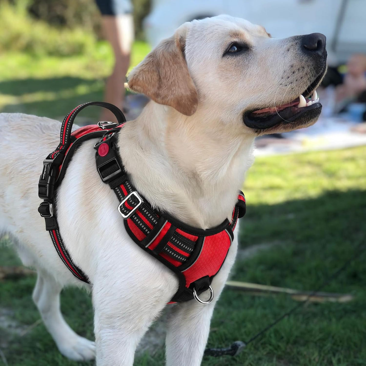 Dog Harness for Large, No Pull 3 Buckles Easy On & Off | Soft Padded, Walking with Control Handle, Adjustable and Reflective, Pink, Large