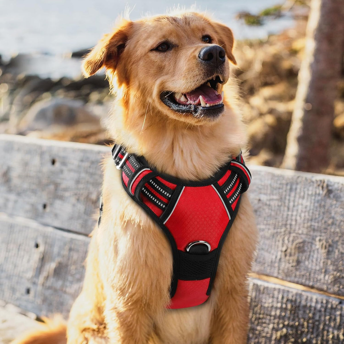 Dog Harness for Large, No Pull 3 Buckles Easy On & Off | Soft Padded, Walking with Control Handle, Adjustable and Reflective, Pink, Large