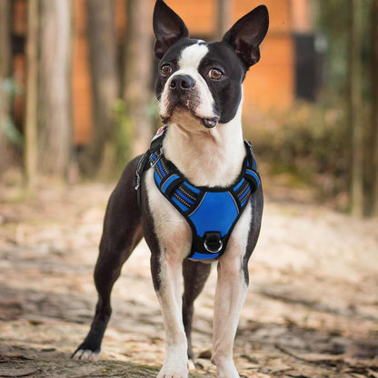 Dog Harness for Large, No Pull 3 Buckles Easy On & Off | Soft Padded, Walking with Control Handle, Adjustable and Reflective, Pink, Large