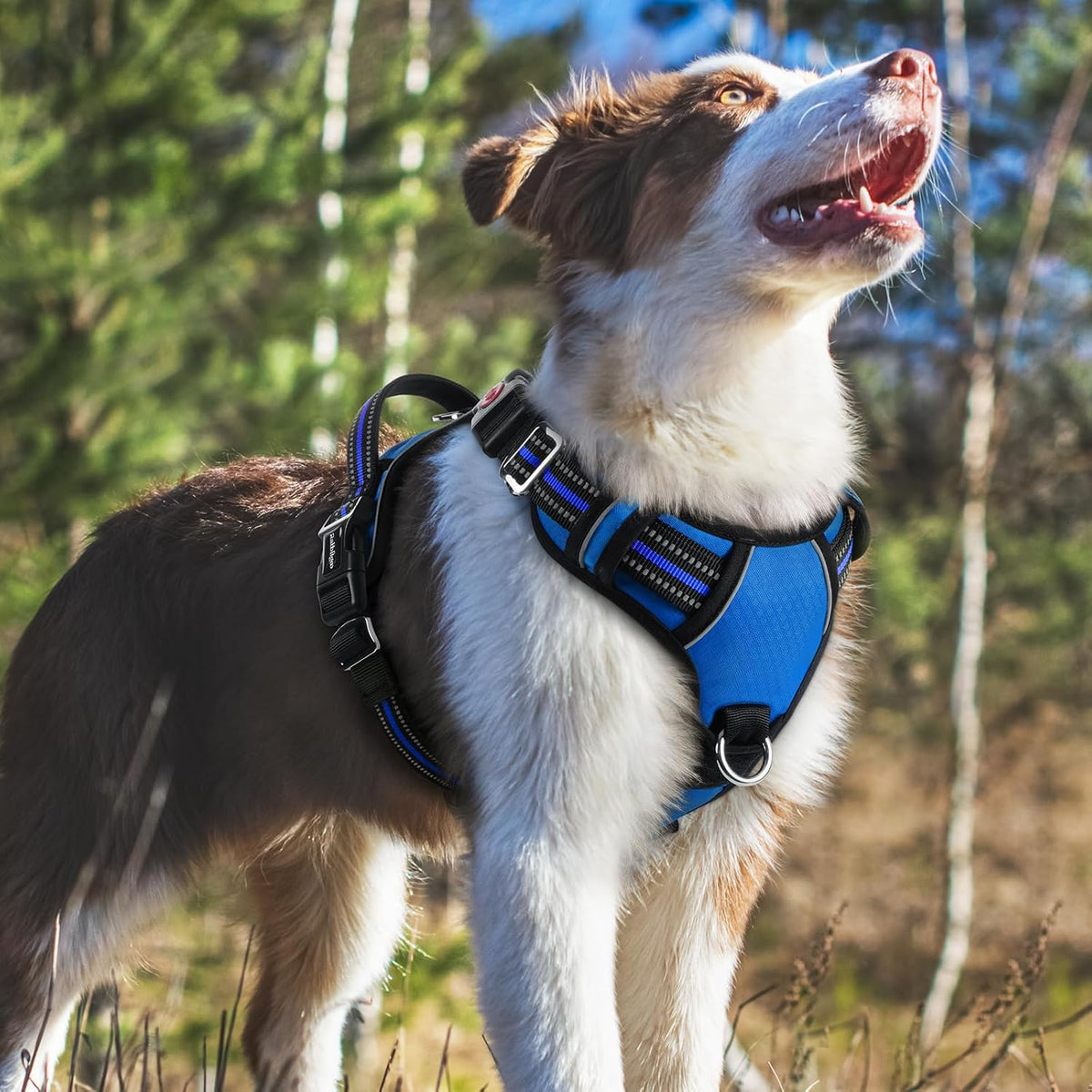 Dog Harness for Large, No Pull 3 Buckles Easy On & Off | Soft Padded, Walking with Control Handle, Adjustable and Reflective, Pink, Large